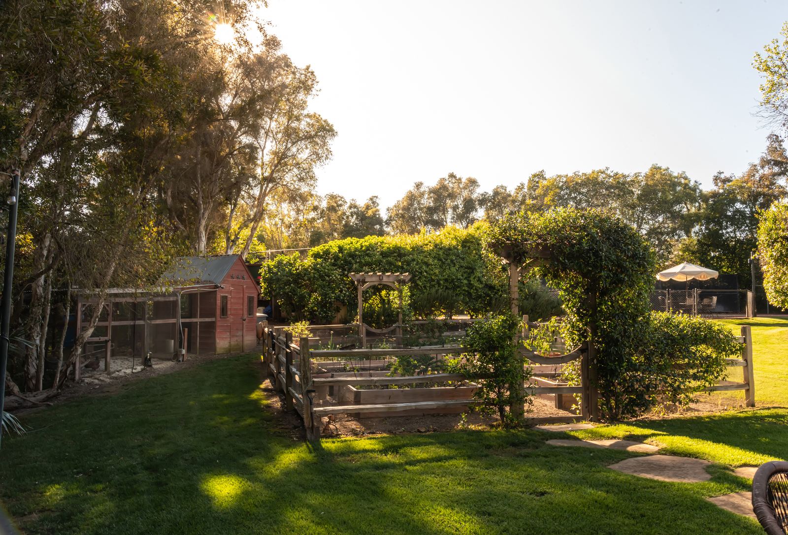 Garden beds and chicken coop at golden hour